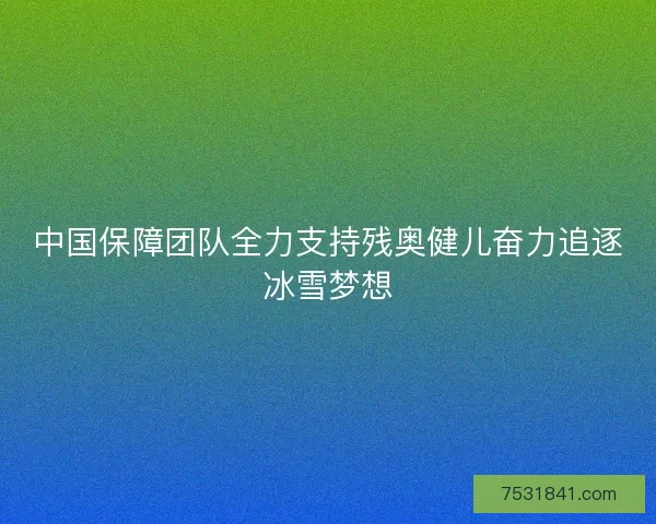 中国保障团队全力支持残奥健儿奋力追逐冰雪梦想